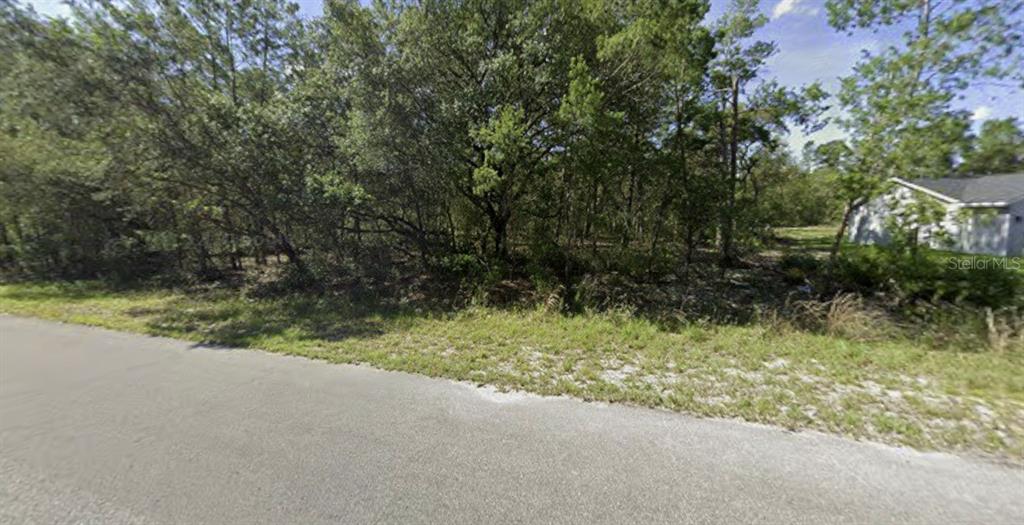 A paved road runs alongside a wooded, undeveloped residential lot with dense trees and brush — TBD FISHER WAY, OCKLAWAHA, FL