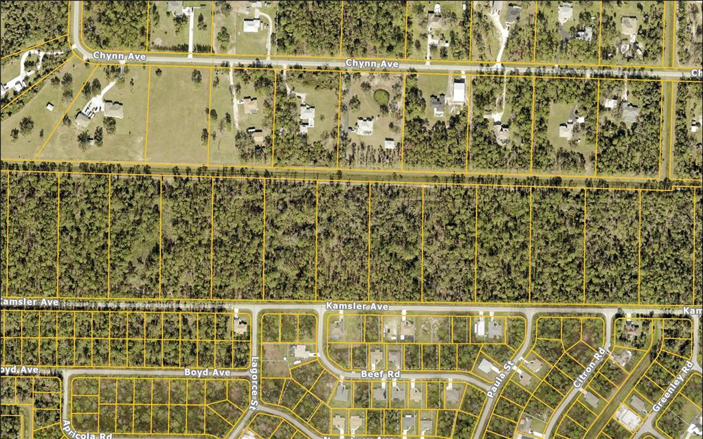 This is an aerial map showing residential lots, wooded areas, and street layouts — KAMSLER AVENUE, NORTH PORT, FL