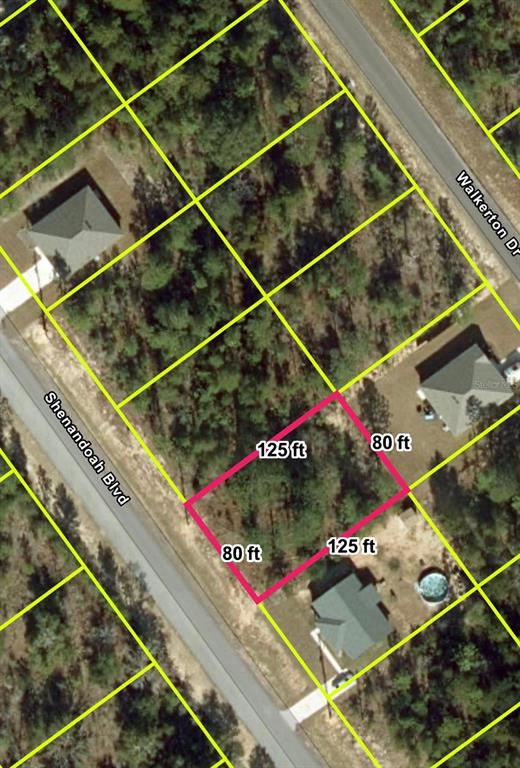 An aerial map shows a rectangular vacant lot highlighted in pink between two residential streets — Lot 12 SHENANDOAH BOULEVARD, CHIPLEY, FL