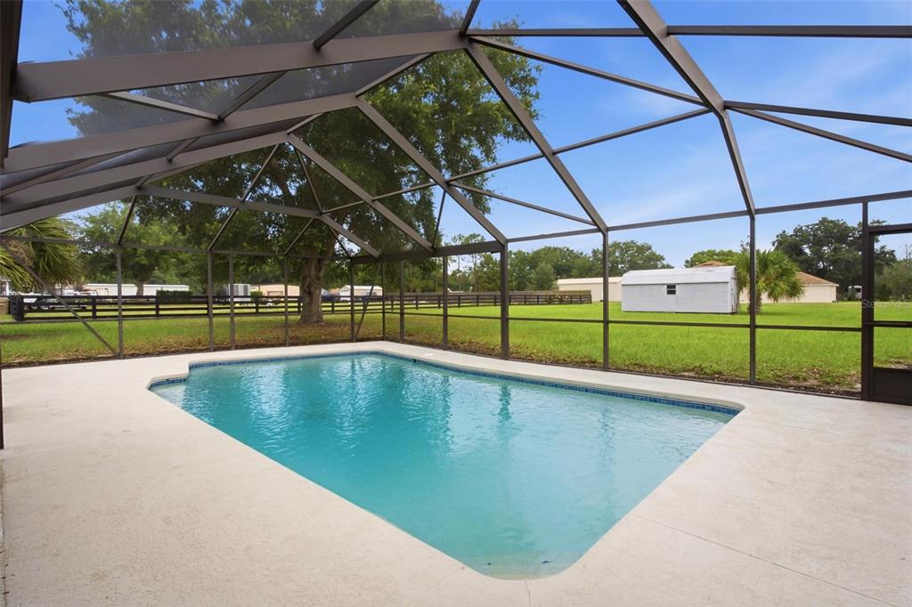A swimming pool enclosed by a screened lanai overlooks a grassy backyard with a shed — 5101 LAKE GRIFFIN ROAD, LADY LAKE, FL