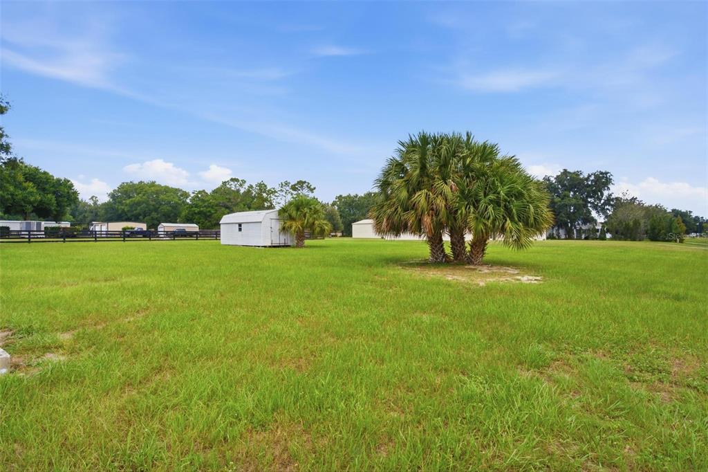 A large grassy field features a small white shed and a palm tree — 5101 LAKE GRIFFIN ROAD, LADY LAKE, FL