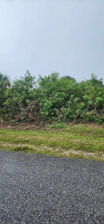 A view of a vacant, overgrown lot covered in dense green vegetation and small trees — 8183 CLYDE CIRCLE, PORT CHARLOTTE, FL