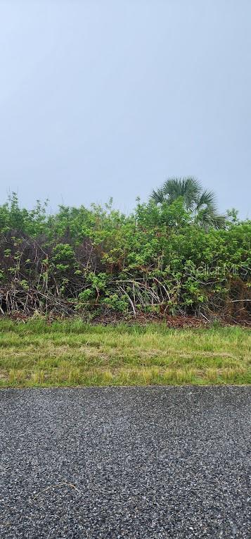 A view of a vacant, overgrown lot with dense vegetation and a paved road in front — 8183 CLYDE CIRCLE, PORT CHARLOTTE, FL