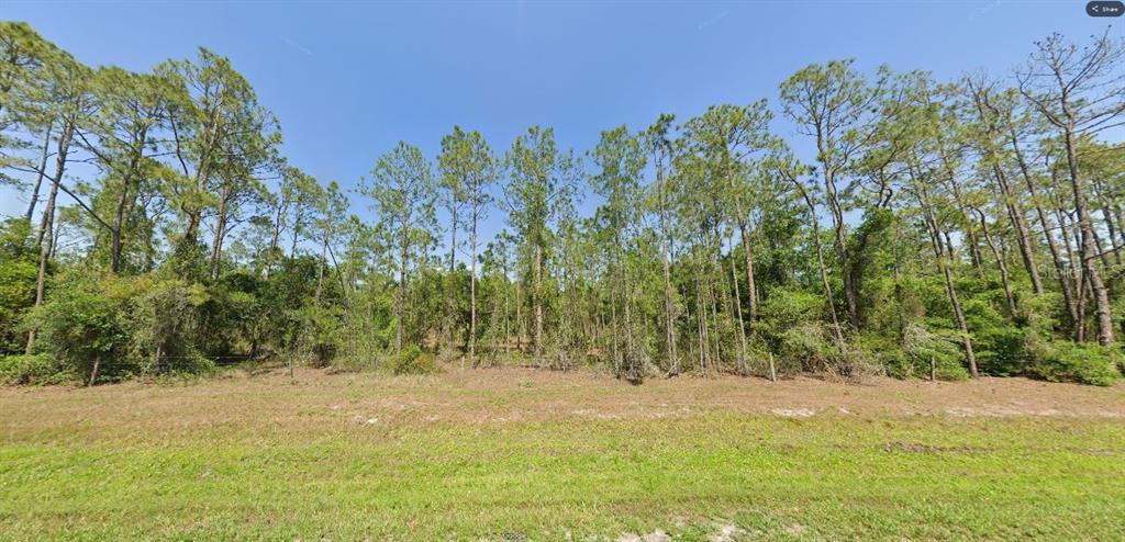A vacant, wooded lot features a grassy foreground and a dense line of tall pine trees — RIVER RANCH RD, LAKE WALES, FL