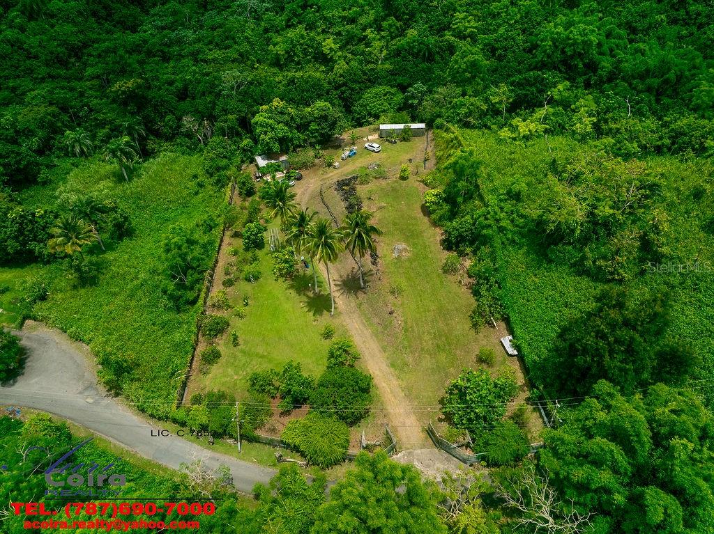 Lot 6 CAMINO PACO GALÁN