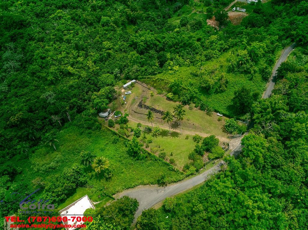 An aerial view shows a cleared, grassy lot surrounded by dense forest with a paved road — Lot 6 CAMINO PACO GALÁN, GUAYNABO, PR