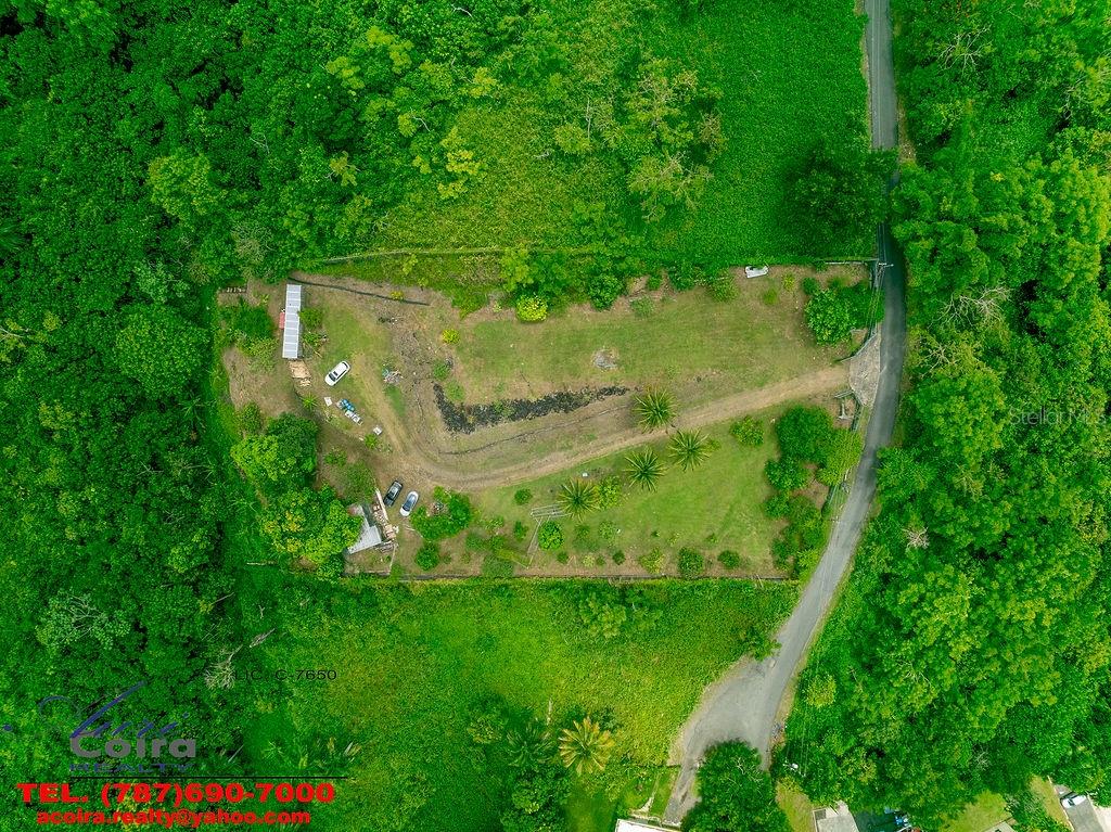 An aerial view shows a grassy lot with a curved driveway surrounded by dense forest — Lot 6 CAMINO PACO GALÁN, GUAYNABO, PR