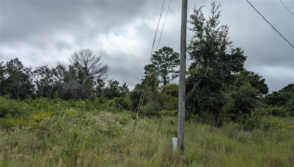 An overgrown, grassy vacant lot features a utility pole and dense trees under a cloudy sky — 109 FALCON COURT NW, LAKE PLACID, FL