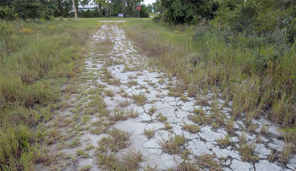 A cracked, overgrown paved path leads toward a stop sign in a grassy, wooded area — 109 FALCON COURT NW, LAKE PLACID, FL