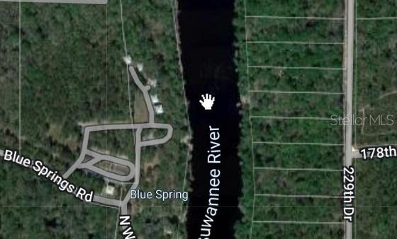 229 TH DRIVE, LIVE OAK, FL — photo 3 of 3