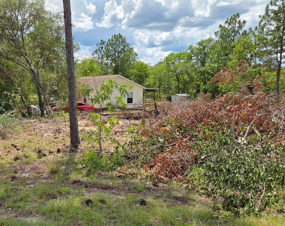 tbd NE 14TH PLACE, WILLISTON, FL — photo 3 of 3