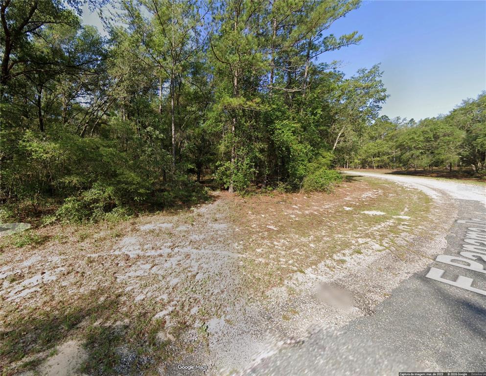 A view of a vacant, wooded lot bordering a paved road — 818 E PANAMA DRIVE, DUNNELLON, FL