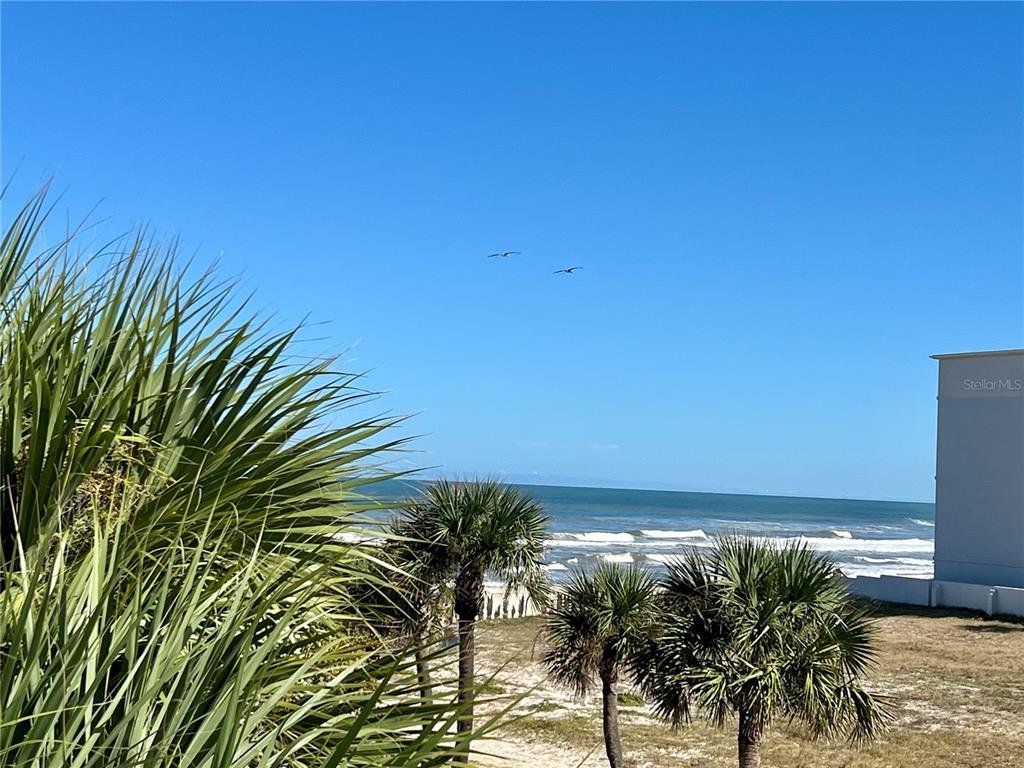 A view of the ocean and beach from a balcony with palm trees — 935 S ATLANTIC AVENUE UNIT 303, DAYTONA BEACH, FL