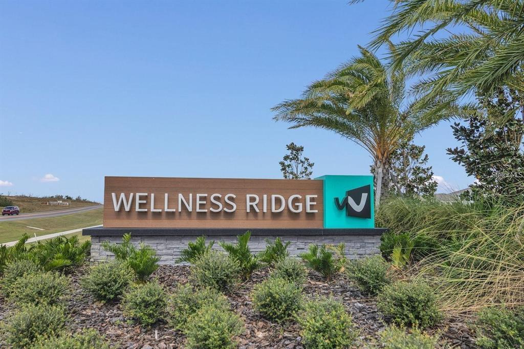 A modern monument sign for Wellness Ridge stands in a landscaped area with palm trees — 2649 ARMSTRONG AVENUE UNIT A, CLERMONT, FL
