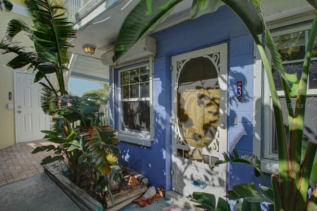 A blue exterior wall features a white screen door and a window beside tropical plants — 19646 GULF BOULEVARD UNIT 3, INDIAN SHORES, FL