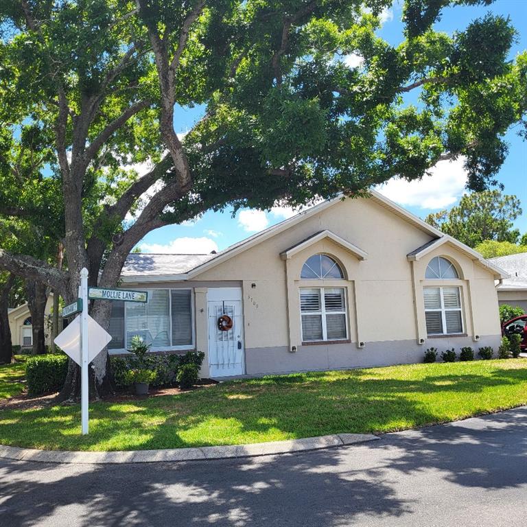 A single-story house with a white door and arched windows sits under a large tree — 3709 MOLLIE LANE, RUSKIN, FL