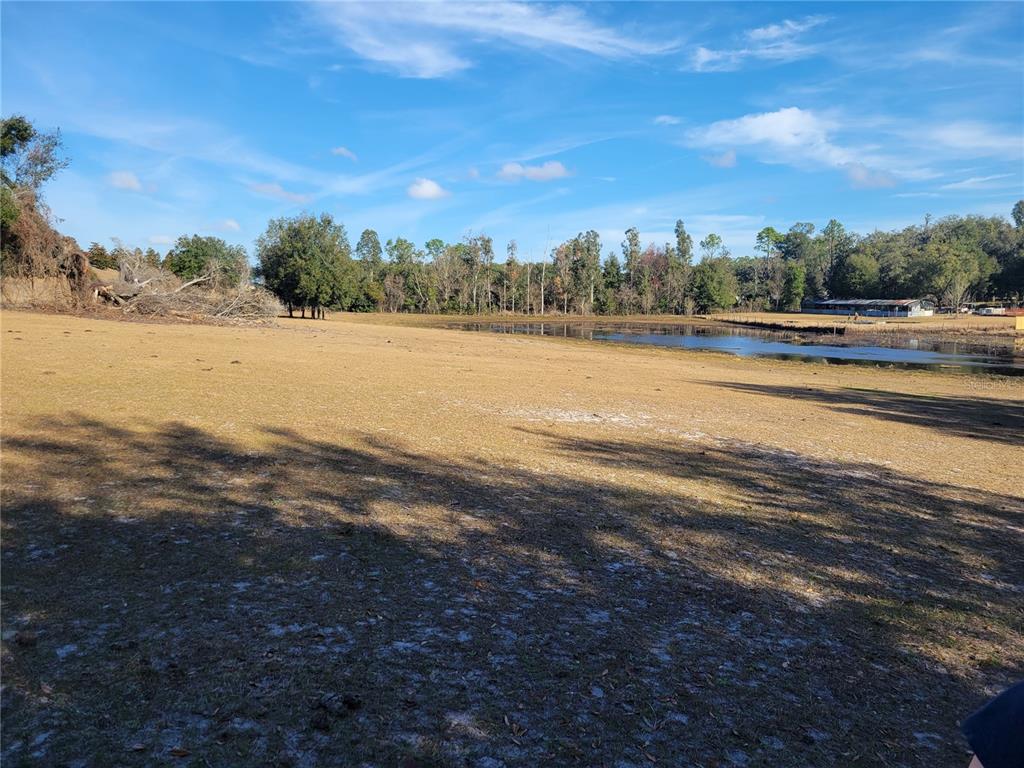 A large, dry grassy field slopes down toward a small pond and a line of trees — 3142 PLYMOUTH SORRENTO ROAD, APOPKA, FL