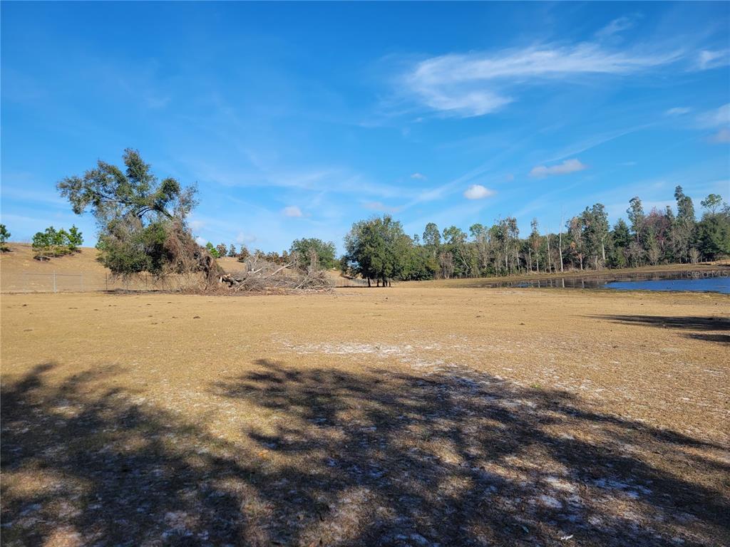 A large, dry, grassy field features a fallen tree and a pond in the distance — 3142 PLYMOUTH SORRENTO ROAD, APOPKA, FL