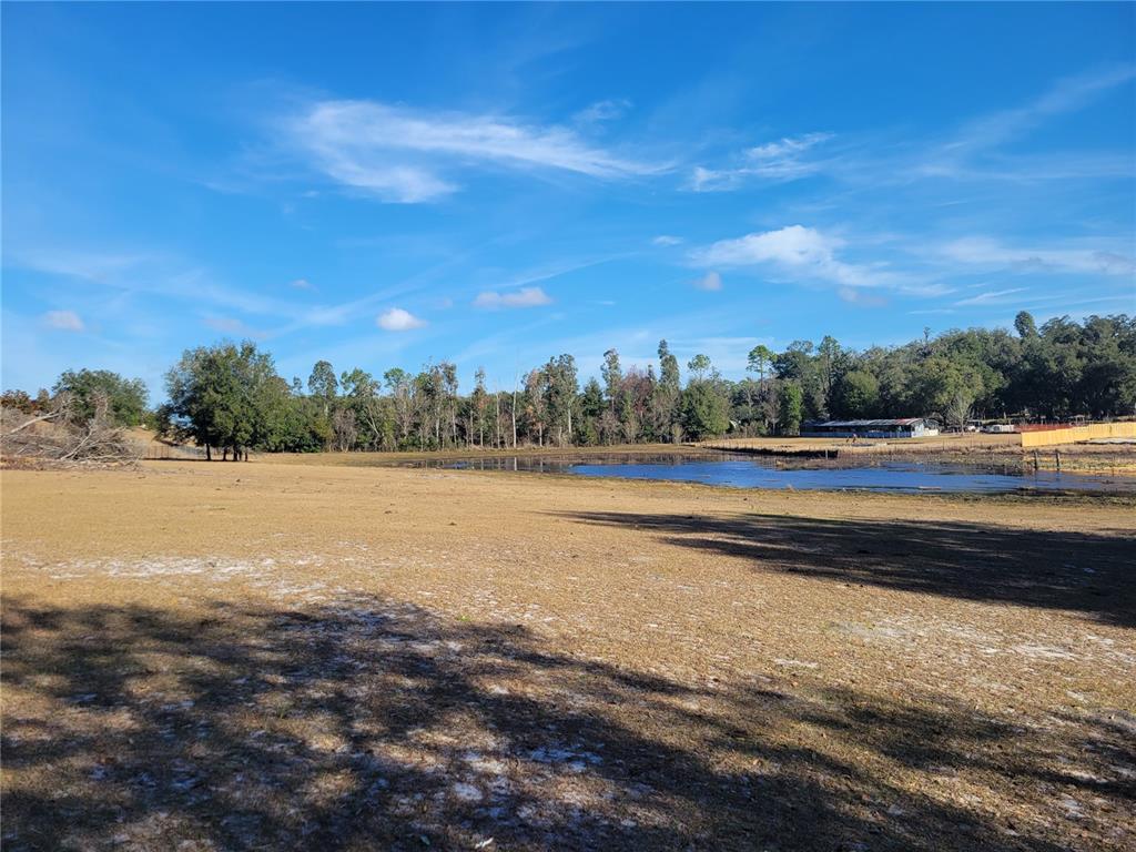 A large, dry grassy field features a small pond and a line of trees — 3142 PLYMOUTH SORRENTO ROAD, APOPKA, FL