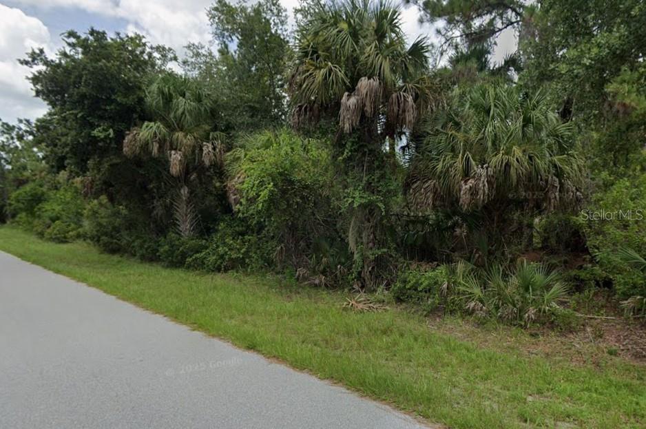 A paved road runs alongside a dense, wooded lot filled with palm trees and shrubs — 408 MCDILL DRIVE, PORT CHARLOTTE, FL
