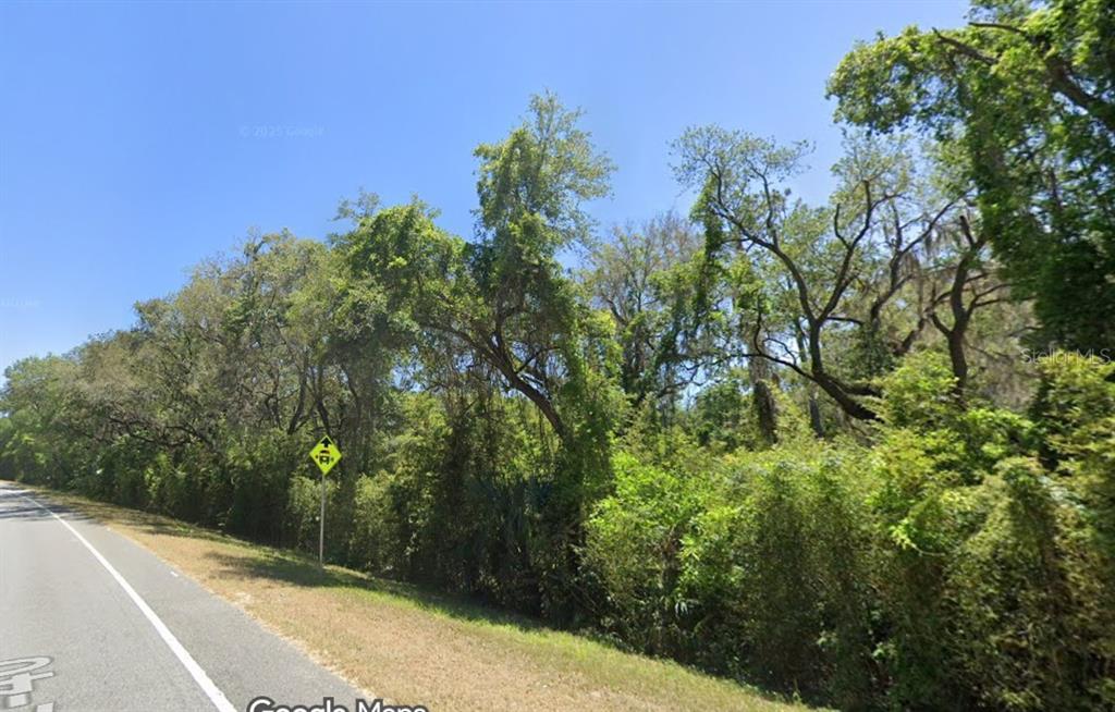 A paved road runs alongside a dense, wooded lot with tall trees and thick vegetation — SE 17TH LANE, OCKLAWAHA, FL