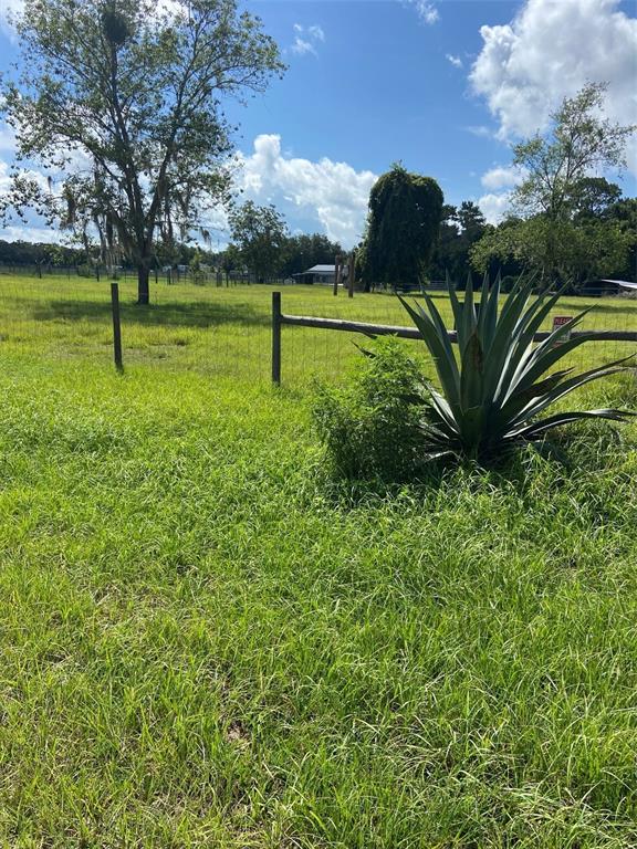 74 LOCUST RUN, OCALA, FL — photo 3 of 4