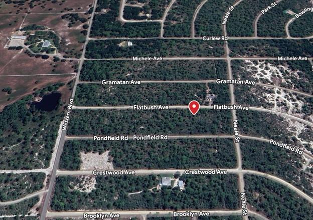 This is an aerial map showing a red location pin on a wooded residential lot — 3234 FLATBUSH AVENUE, LAKE PLACID, FL
