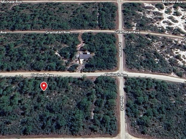 This is an aerial map view of a wooded lot with a red location pin — 3234 FLATBUSH AVENUE, LAKE PLACID, FL