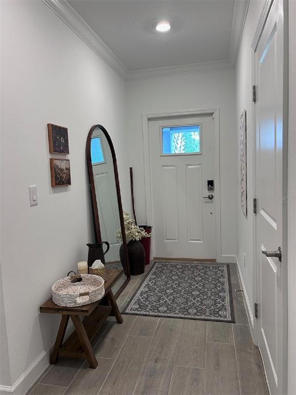 An entryway features a wooden bench, an arched floor mirror, and a patterned area rug — 16919 FORGE SURF STREET, LAND O LAKES, FL