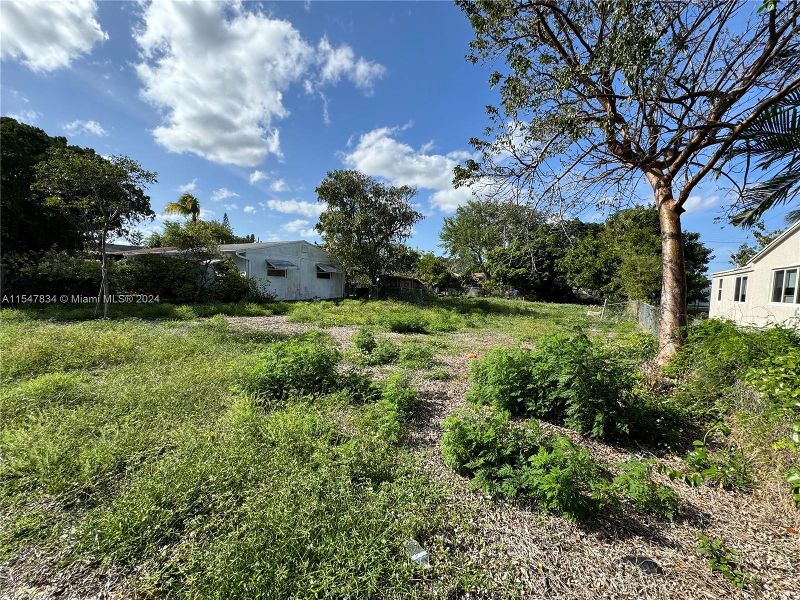An overgrown, grassy lot sits between two residential buildings under a bright blue sky — 2205 Coolidge St, Hollywood FL 33020, HOLLYWOOD, FL