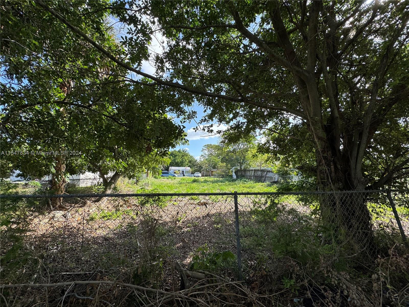 A chain-link fence encloses a vacant, grassy lot shaded by several large trees — 2205 Coolidge St, Hollywood FL 33020, HOLLYWOOD, FL