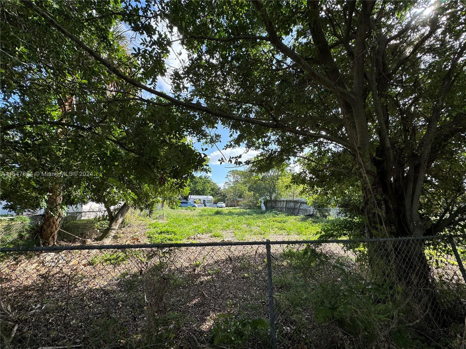 A chain-link fence encloses a vacant, grassy lot shaded by several large trees — 2205 Coolidge St, Hollywood FL 33020, HOLLYWOOD, FL