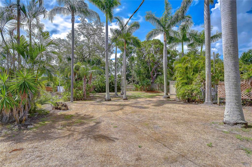 A grassy backyard features several tall palm trees and a wooden fence — 5006 W DICKENS AVENUE, TAMPA, FL