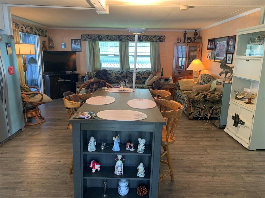 10456 PEACEFUL DRIVE, LARGO, FL — photo 4 of 24