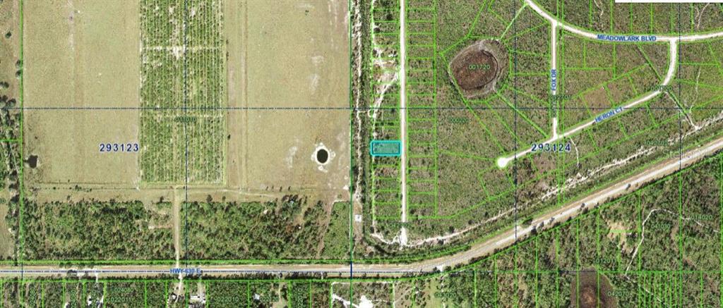 This is an aerial map showing a rectangular parcel of land highlighted in a residential area — 1251 PINNATA DRIVE, INDIAN LAKE ESTATES, FL