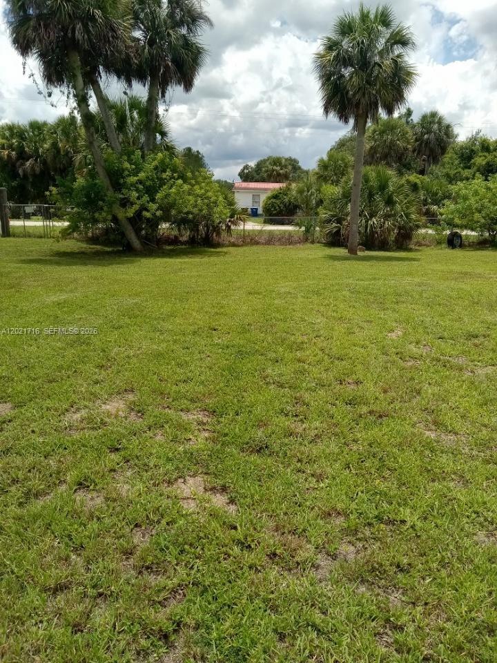 A grassy, open lot features several palm trees and a view of a distant house — 1326 Red Barn Rd, Moore Haven FL 33471, MOORE HAVEN, FL