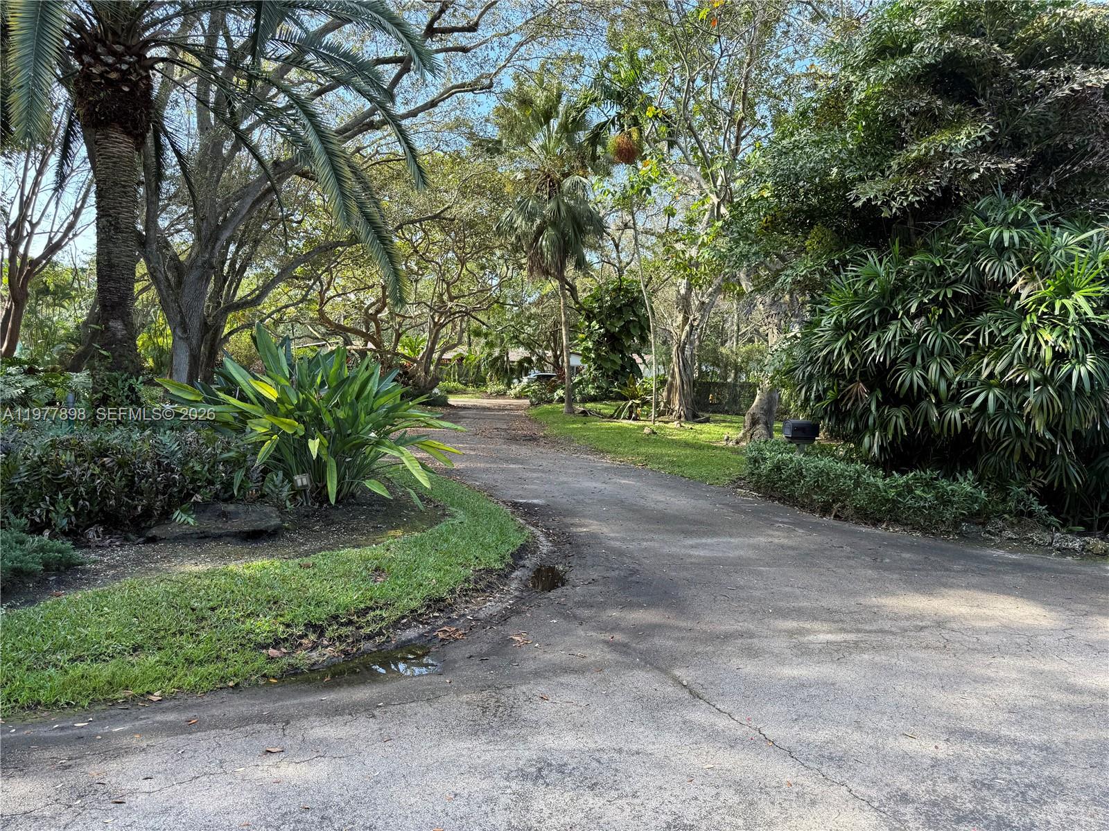 A paved driveway winds through a lush, tree-filled landscape with tropical plants and palms — 6399 SW 100th St # 0, Pinecrest FL 33156, PINECREST, FL
