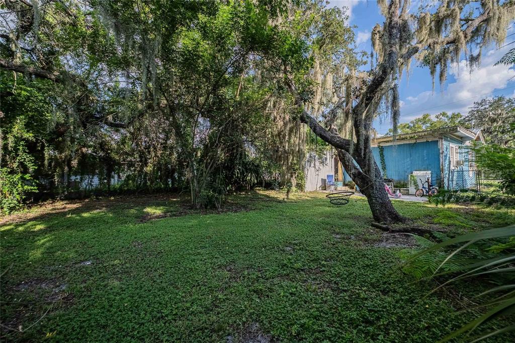 A grassy backyard features a large tree with Spanish moss and a blue house exterior — 2236 BURNS STREET, LAKELAND, FL