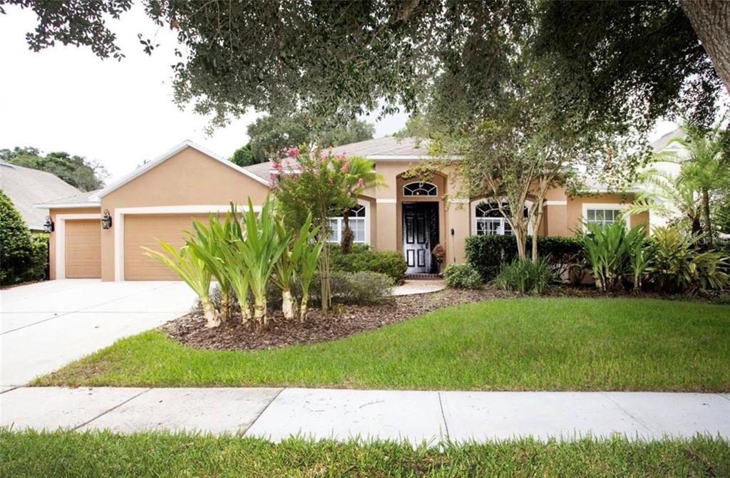 311 GOLDEN ELM DRIVE