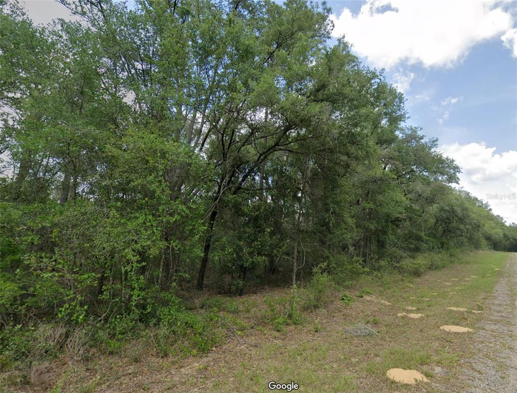 737 E BYRD LOOP