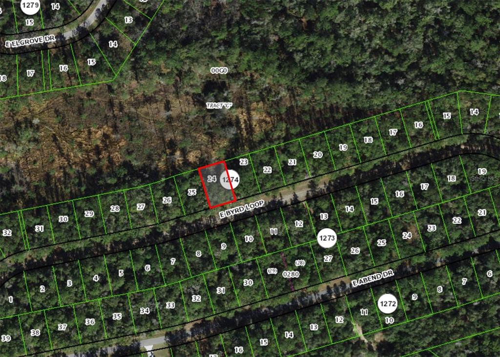 This is an aerial map showing a highlighted residential lot on a curved street — 737 E BYRD LOOP, DUNNELLON, FL