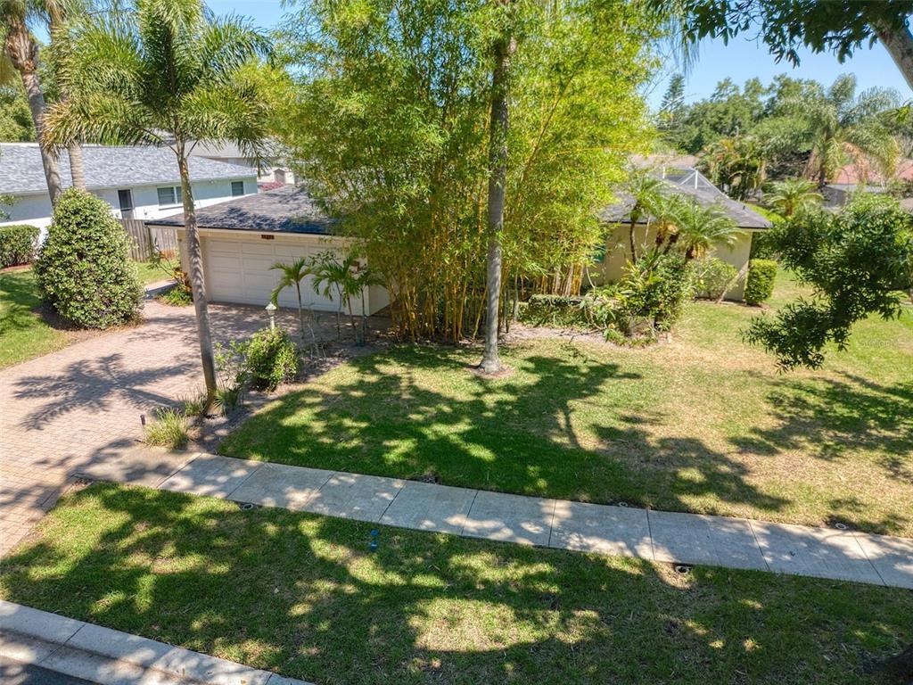 An elevated view of a house exterior with a brick driveway and dense bamboo landscaping — 2972 KENILWICK DRIVE S, CLEARWATER, FL