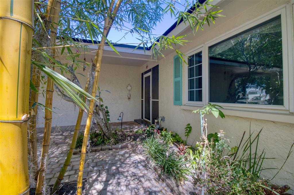A paved entryway features bamboo stalks, a small garden bed, and a front door — 2972 KENILWICK DRIVE S, CLEARWATER, FL