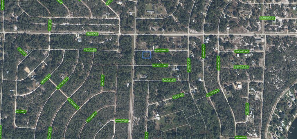 An aerial map view showing a highlighted rectangular plot of land in a wooded area — 3154 CARLTON AVENUE, LAKE PLACID, FL