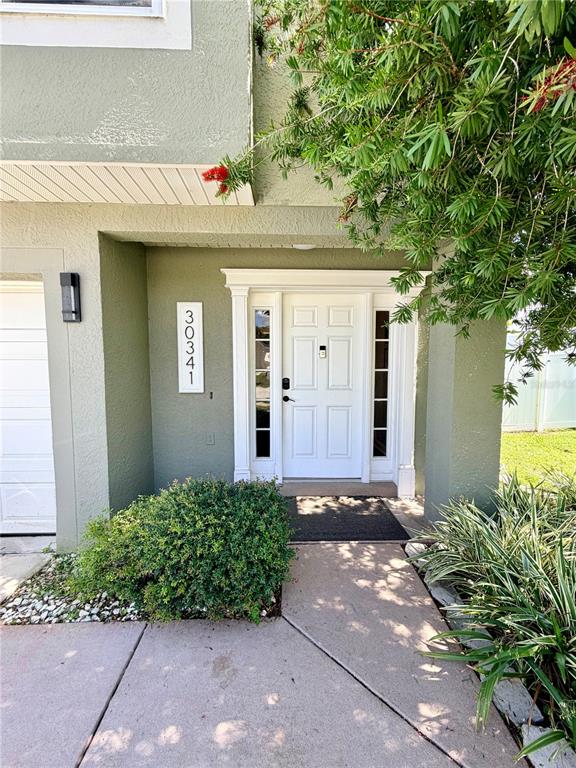 The exterior entrance of a home features a white door, a house number, and landscaping — 30341 PONGO WAY, WESLEY CHAPEL, FL
