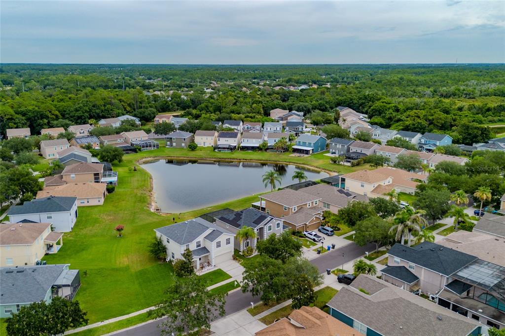 An aerial view shows a suburban neighborhood with houses surrounding a central retention pond — 8919 N RIVER ROAD, TAMPA, FL