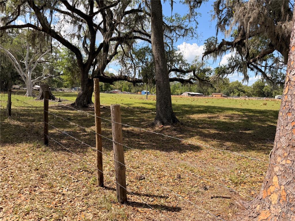 A wire fence runs along the foreground of a grassy field with large oak trees — 20512 RAMER ROAD, DADE CITY, FL