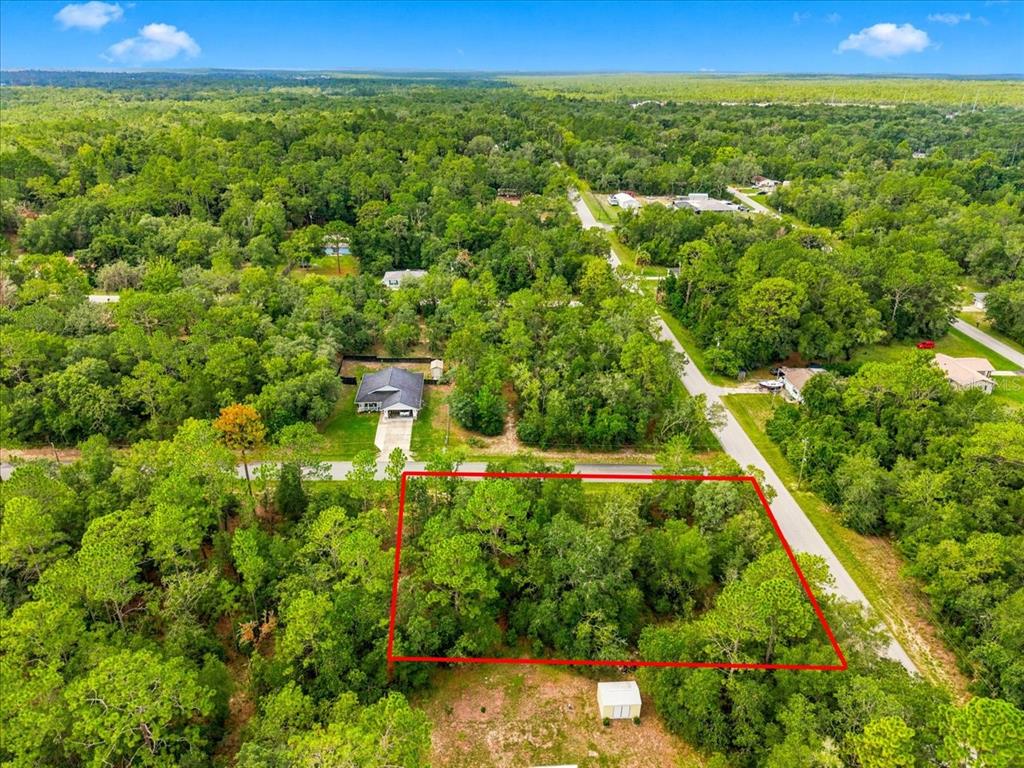 An aerial view shows a rectangular, wooded vacant lot outlined in red next to a road — 3015 E MAY STREET, INVERNESS, FL
