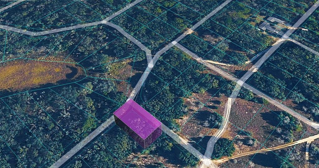 An aerial map rendering shows a highlighted purple rectangular property lot surrounded by wooded terrain — 2301 EISENHOWER STREET, INVERNESS, FL