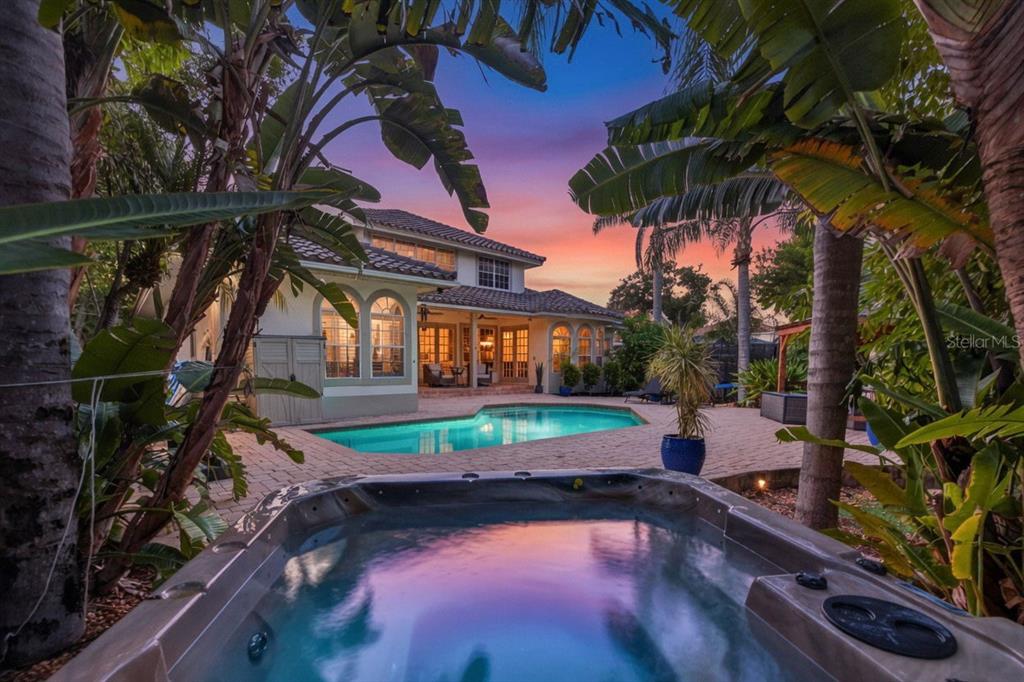 A backyard features a swimming pool and hot tub surrounded by tropical plants at sunset — 4660 LAUREL OAK LANE NE, ST PETERSBURG, FL